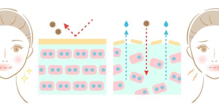 セラミド量によって肌印象が変わる　イメージ図　女性